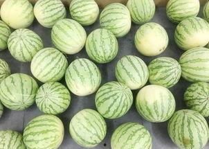 老照片高清修复神器免费版下载v3.1.3 