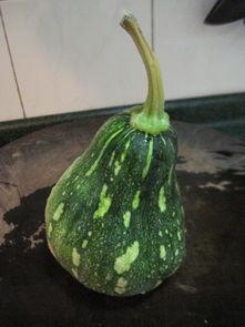 黑料吃瓜网apk普通安装 