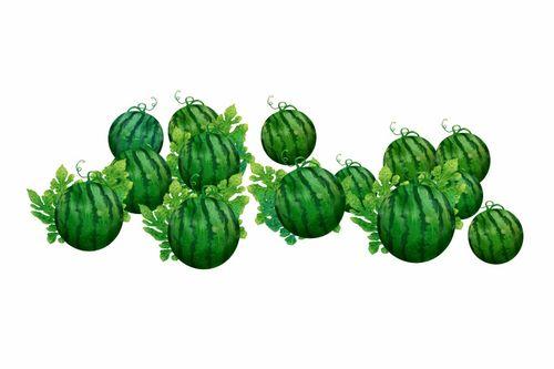 黑料吃瓜网apk普通安装 