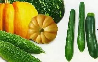 踹飞大胡子内购版解锁下载 