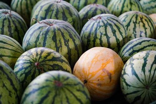 就喜欢你不喜欢我 